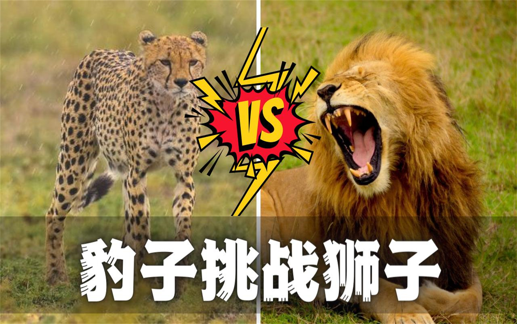 激烈赛程中的不解之谜，谁将最终获胜？的简单介绍