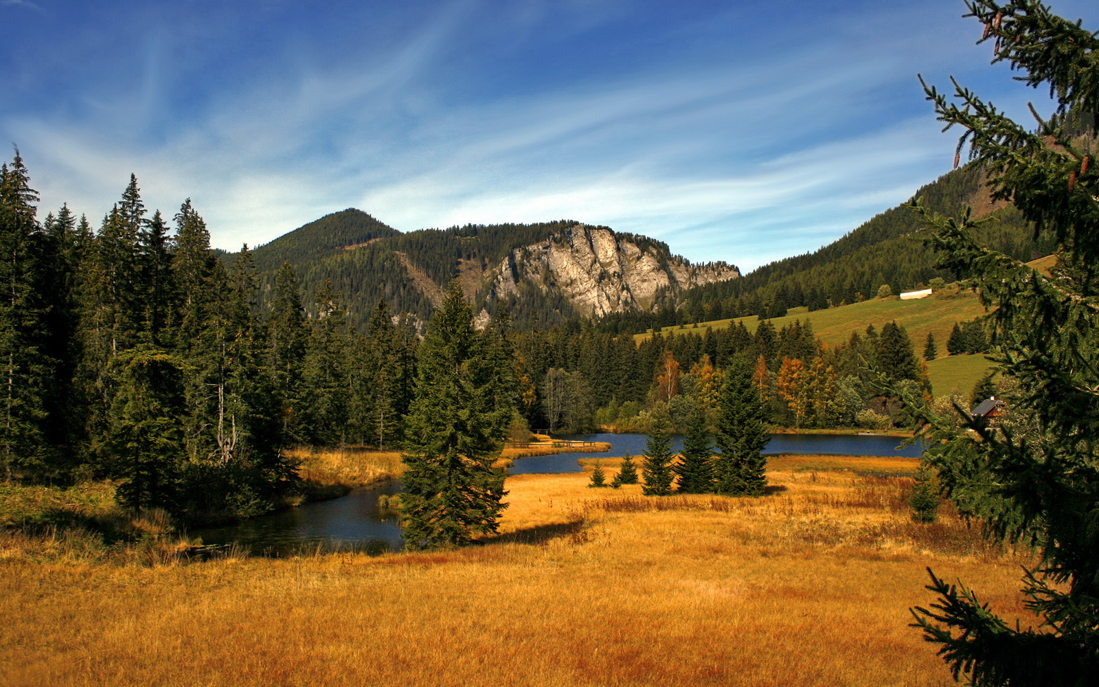 虚拟决战，当NBA总决赛的舞台迎来中韩巅峰对决