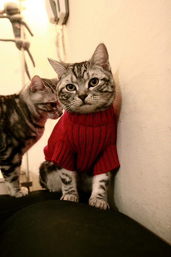 莱奥一剑封喉，切尔西终结马赛欧冠征程关键先生闪耀全场