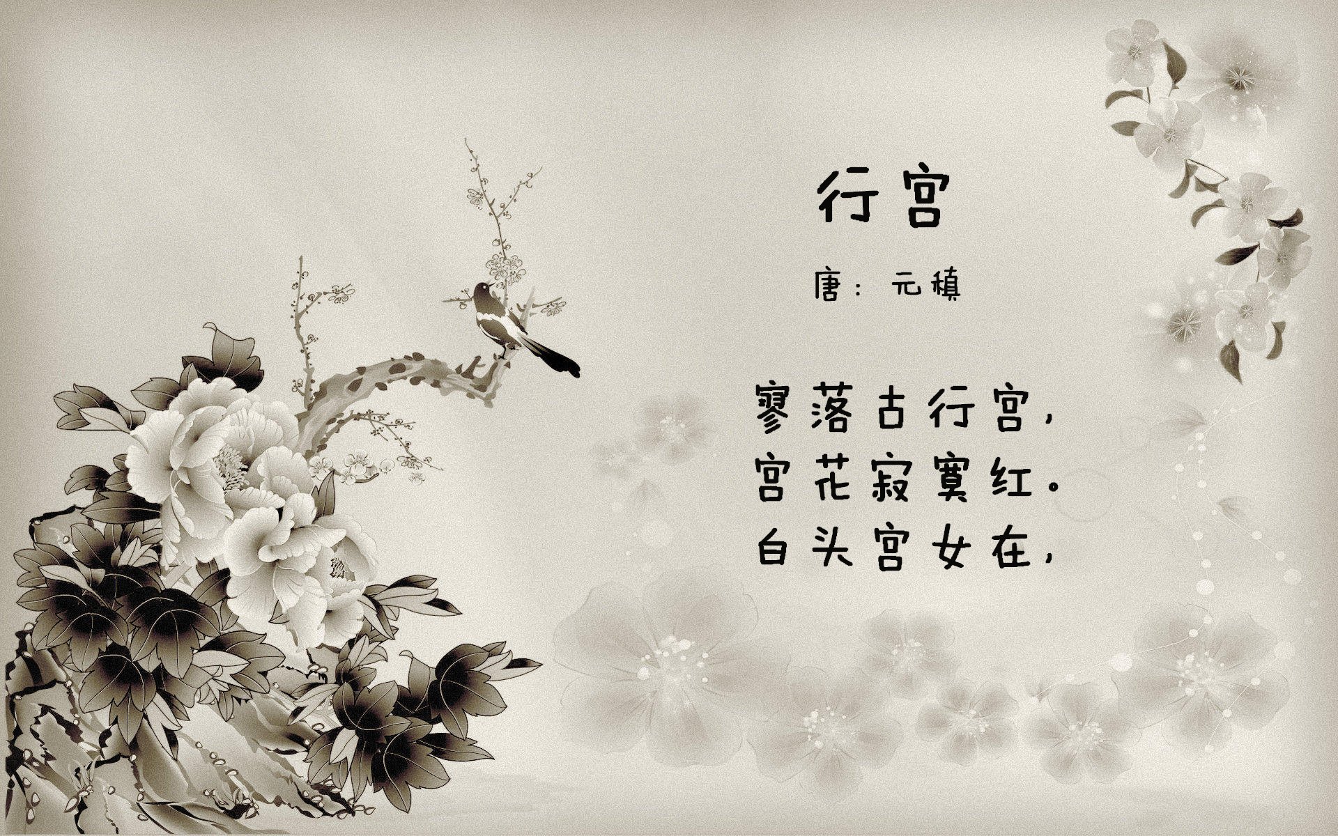 神祇的战场，当杜兰特踏上欧冠之夜