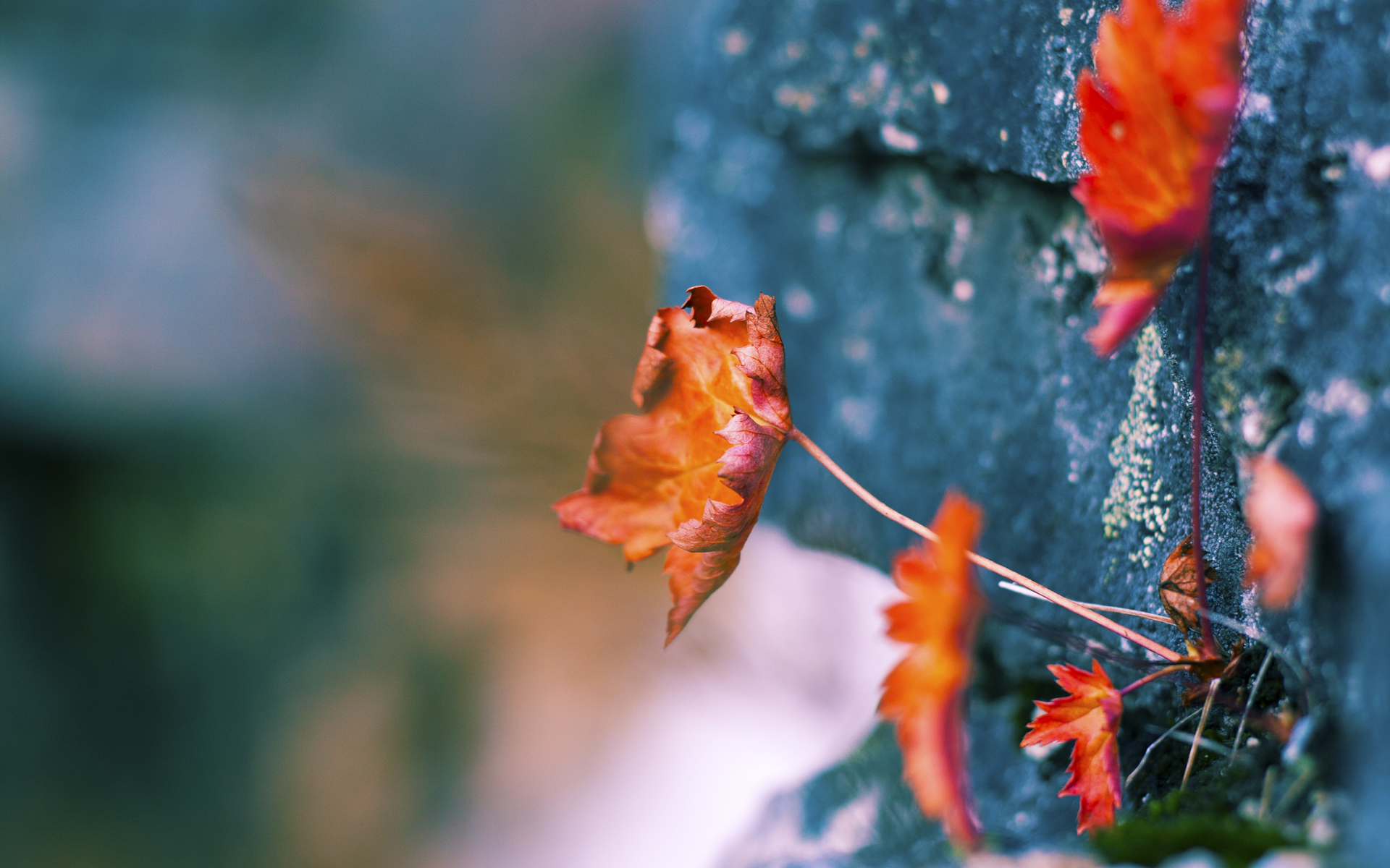轰然倒塌！沉默一球成就西亚卡姆关键先生之名