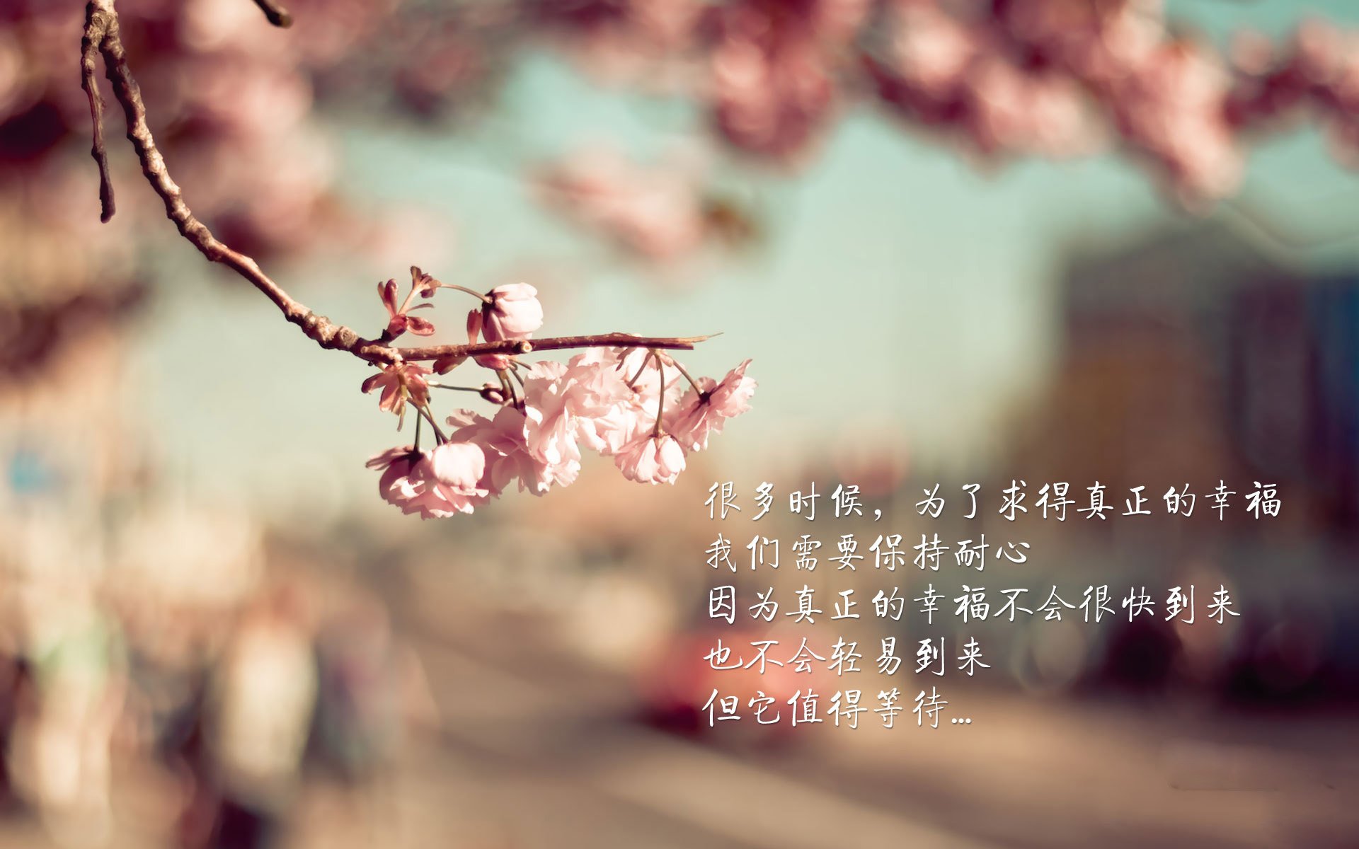 世俱杯参赛资格-欧冠半决赛焦点战，辽宁队力克凯尔特人，争冠之路豁然开朗