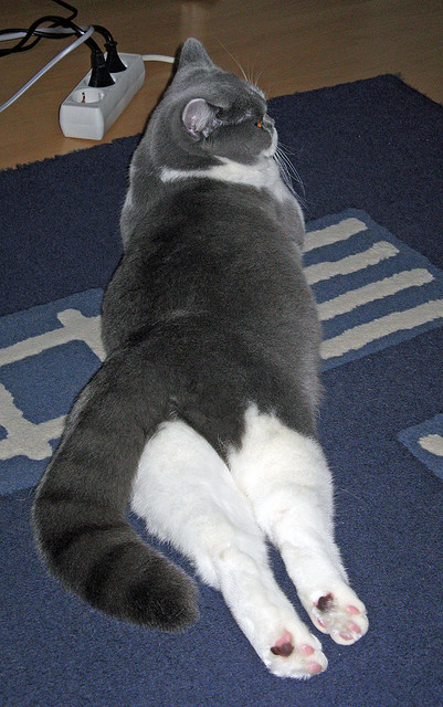 死神镰刀提前落下！杜兰特45分血洗北岸花园，老鹰狂胜绿军38分创赛季纪录