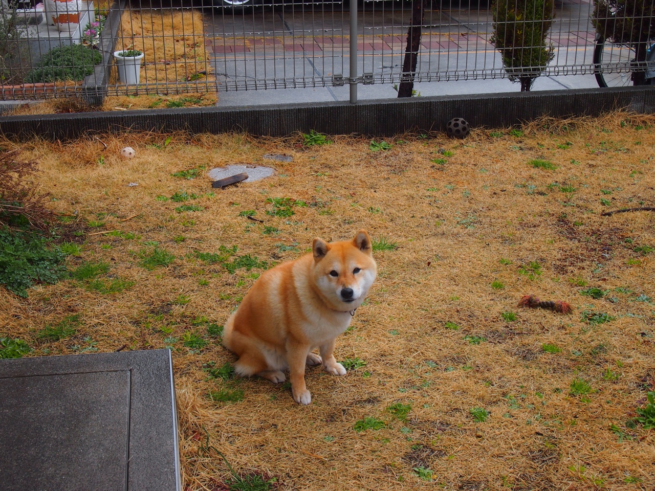 世俱杯2025-奥纳纳横空出世！沙特史诗扑救终结加拿大，门将封神夜改写生死簿