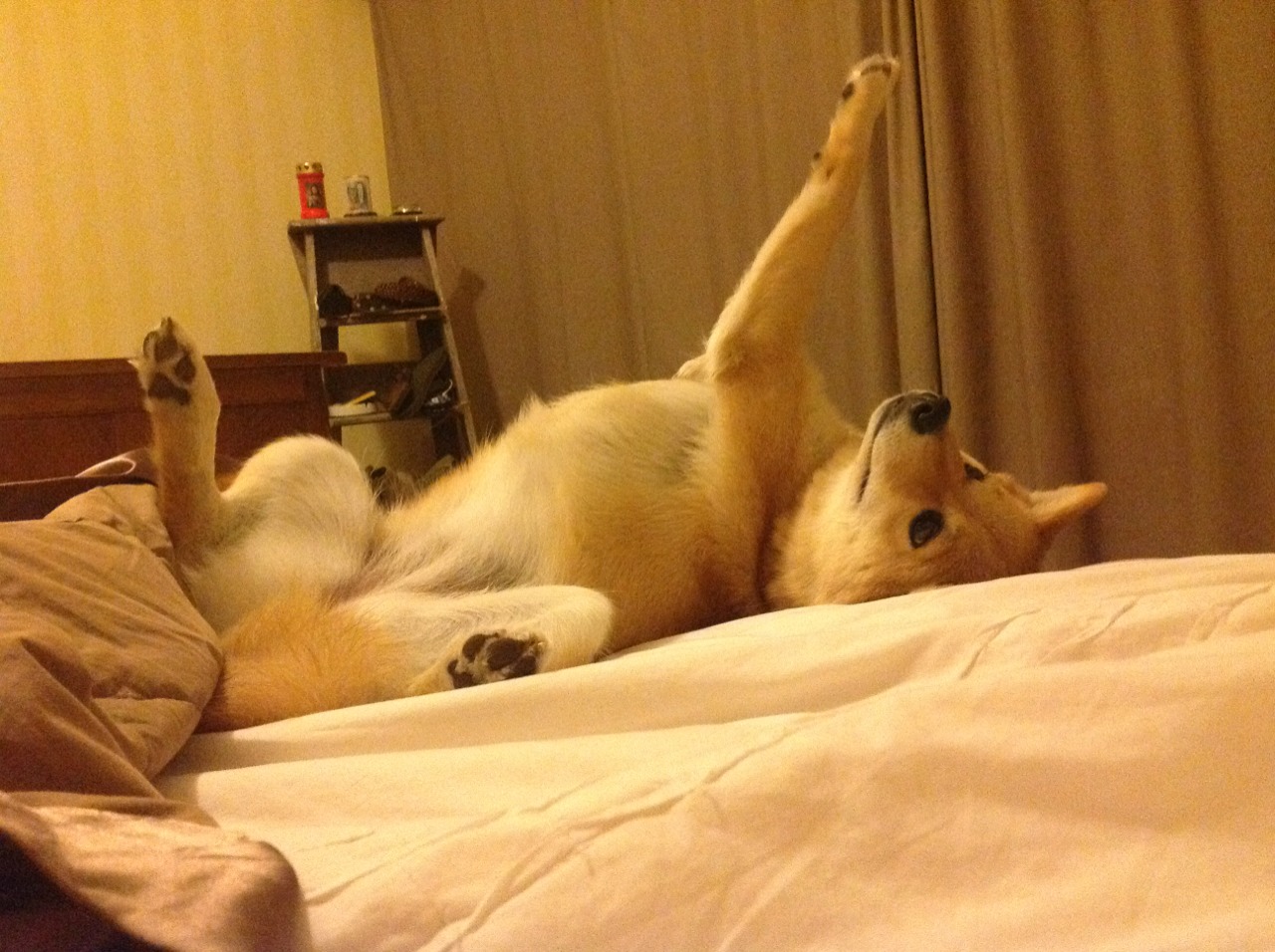 世俱杯决赛-深圳队险胜北京队，德罗赞关键先生一锤定音