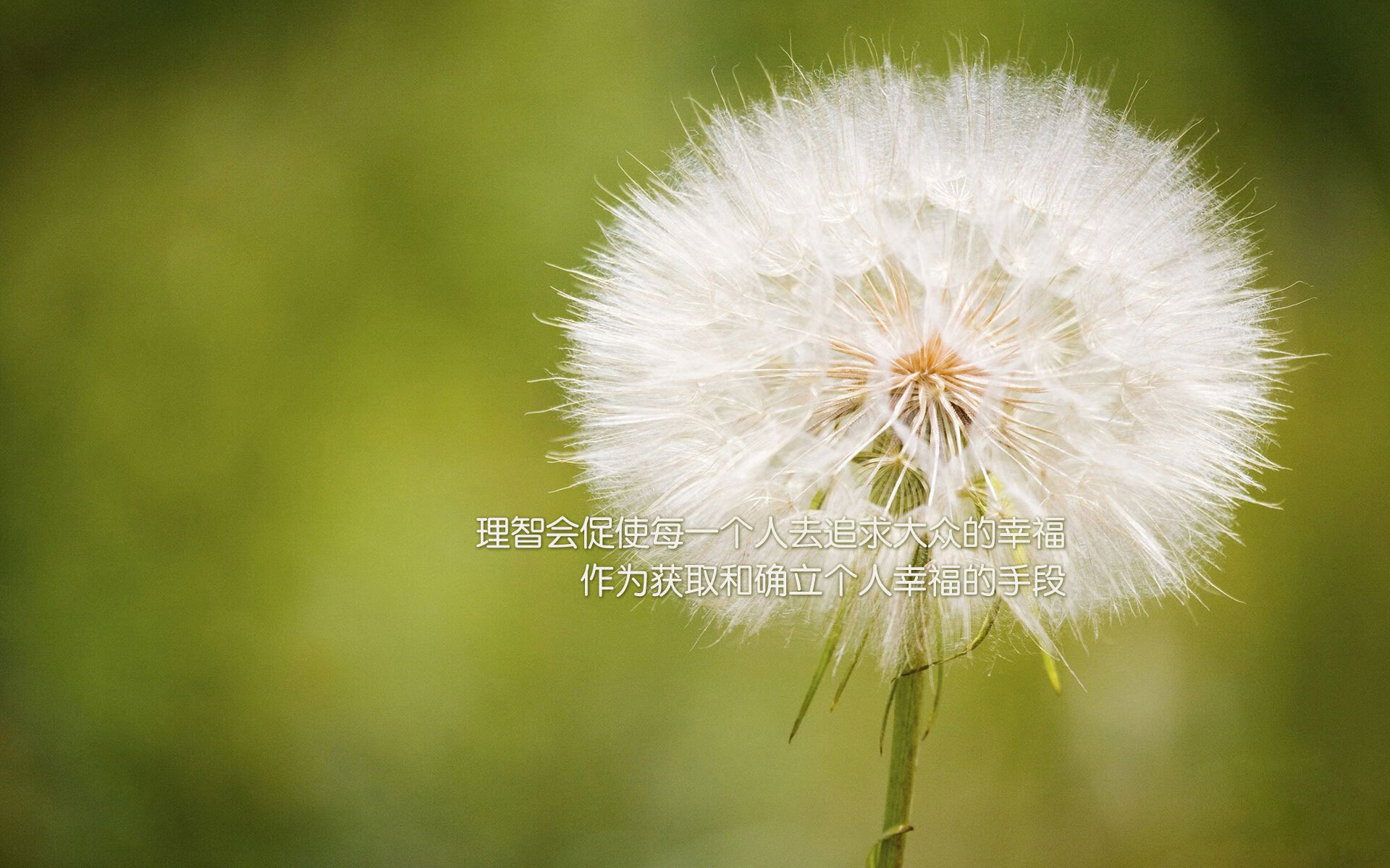 霍勒迪30分生死战爆发，凯尔特人力克上海队，守住晋级希望