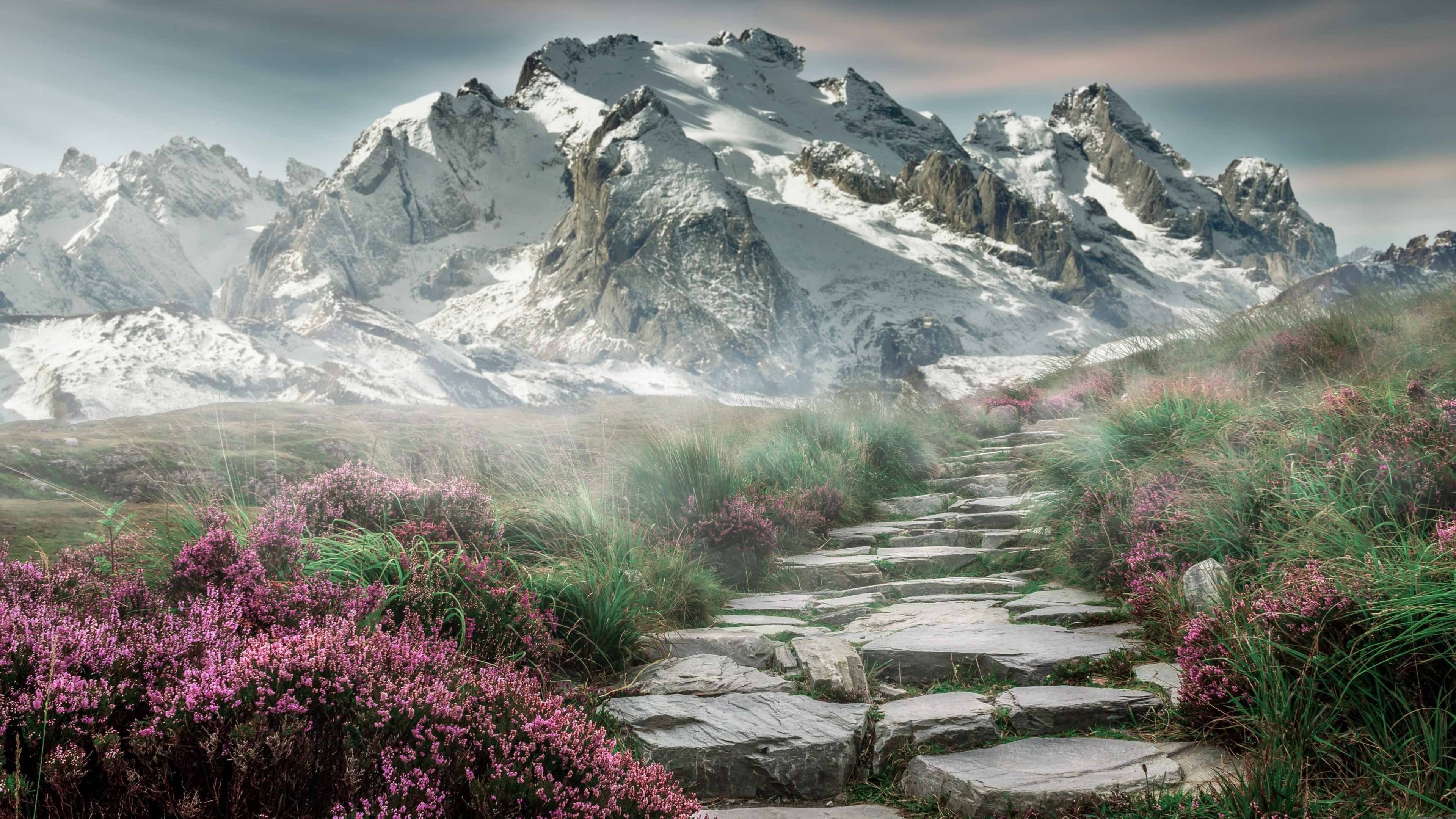 加时鏖战,绝境逢生,哈利伯顿关键9分导演绿军逆转好戏