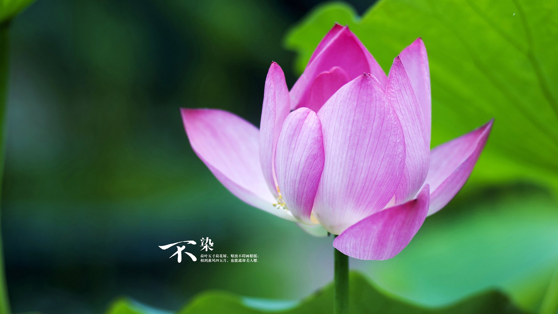 世俱杯分组-德甲争冠焦点战激战正酣,美国决胜局力克新西兰,体育世界的双重奏