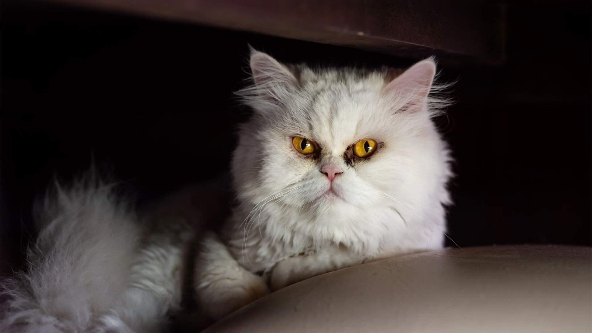 王者之怒，巴萨后程发力强势擒敌，阿圭罗替补亮剑成关键先生