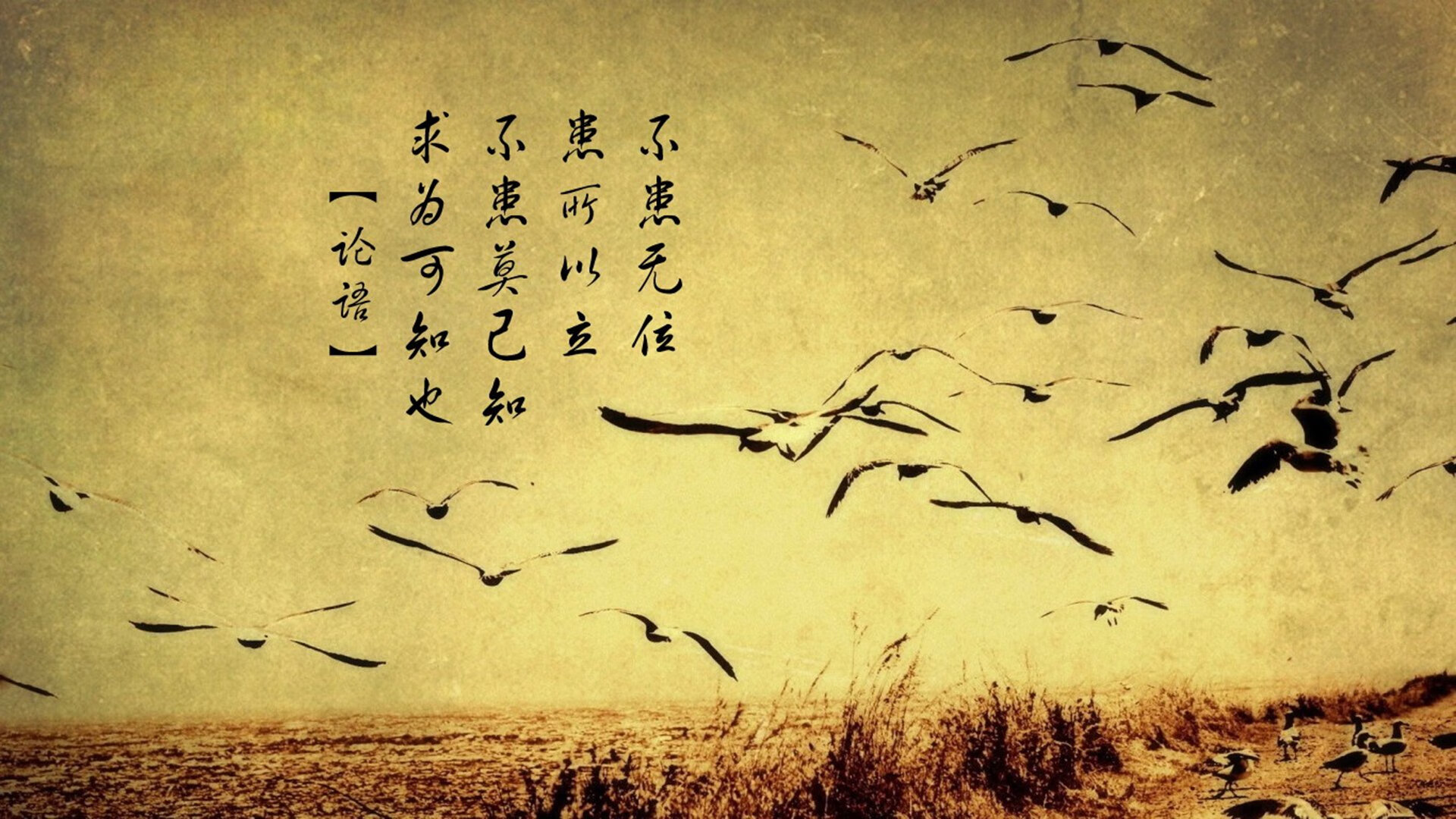 沙漠之鹰的复仇，2026世界杯，卡塔尔力克尼日利亚，拉什福德独造三球闪耀多哈